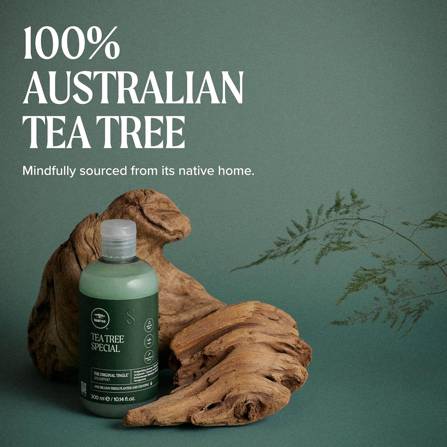 HotTea Tree Special Shampoo, Deep Cleans, Refreshes Scalp, For All Hair Types, Especially Oily Hair