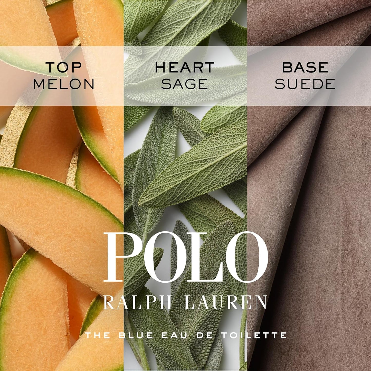 Hot RALPH LAUREN FRAGRANCES - Polo Blue - Eau de Toilette - Men's Cologne - Aquatic & Fresh - With Citrus, Sage, and Suede - Medium Intensity