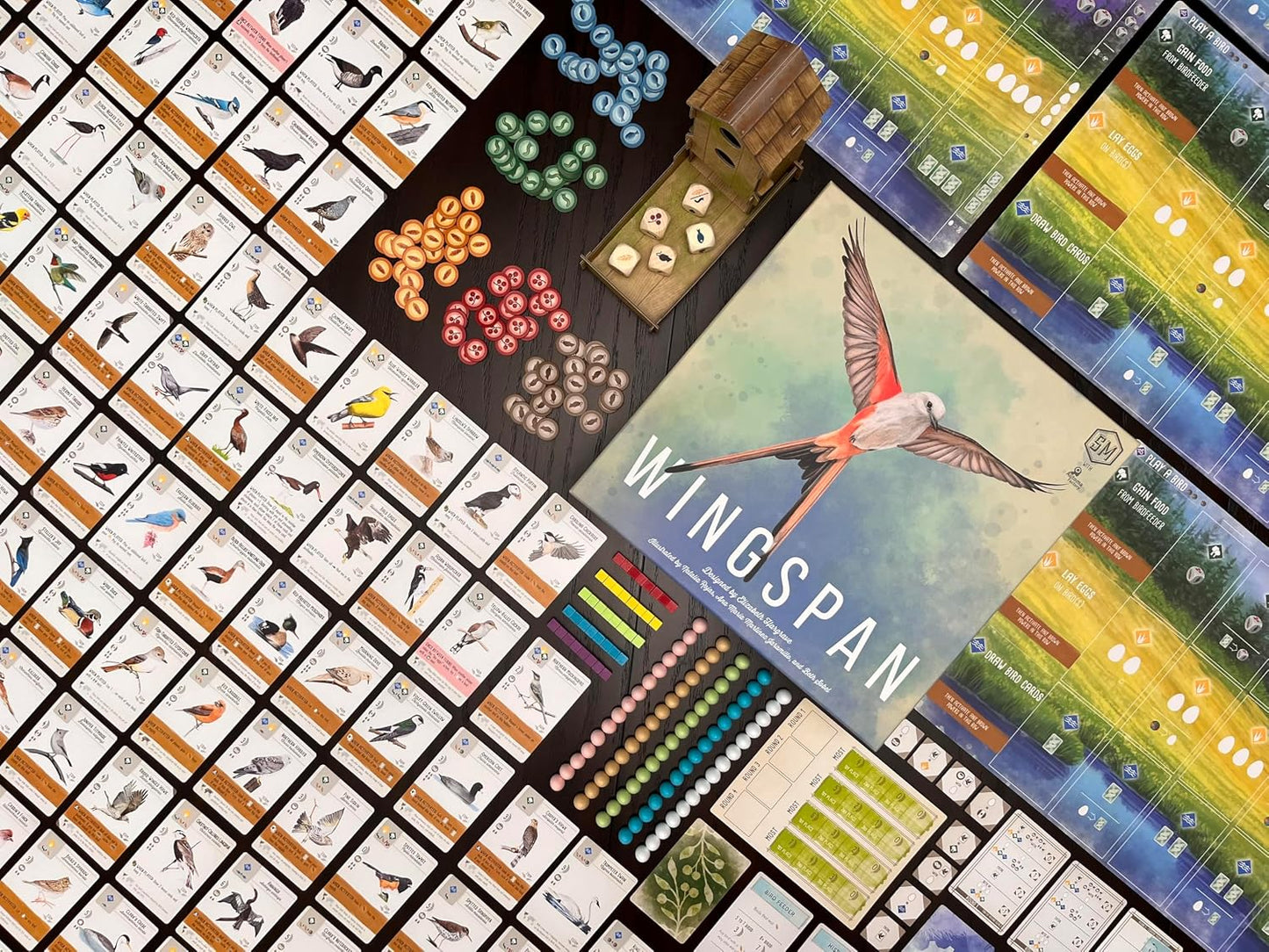 Hot Stonemaier Games: Wingspan (Base Game) by Elizabeth Hargrave | A Relaxing, Award-Winning Strategy Board Game About Collecting Birds for Adults and Family | 1-5 Players, 70 Mins